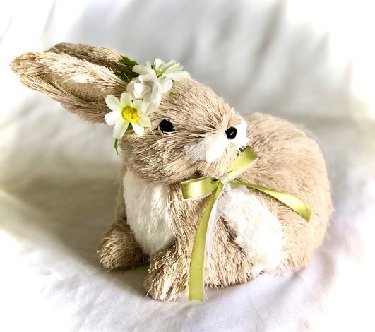 Miss Daisy Bunny Rabbit